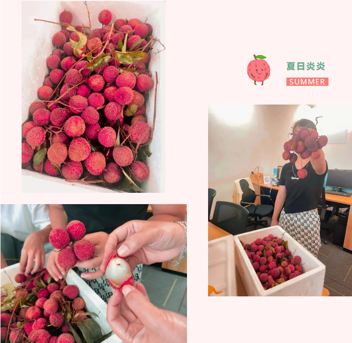 64ab9ee382c07.png 6.png