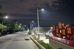 江南网站_江南（中国）集团罗宁弟爱心捐赠路灯，点亮乡村路温暖乡民心