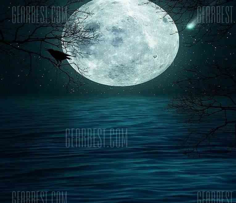 offertehitech-gearbest-Halloween Terrifying Moon Lake Night Background Cloth