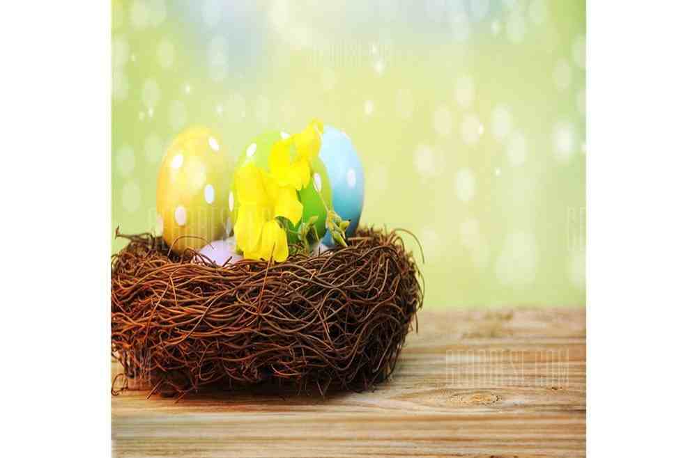 offertehitech-gearbest-Q4 Easter Egg Nest Photograph Backdrop